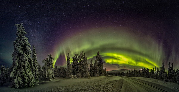 緑の木々、自然、風景、フィンランド、オーロラ、冬、森、雪、道路、ライト、星空、寒さ、木、 HDデスクトップの壁紙 HD wallpaper