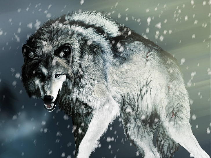 papel pintado digital lobo gris, lobo, obra de arte, nieve, animales, Fondo de pantalla HD