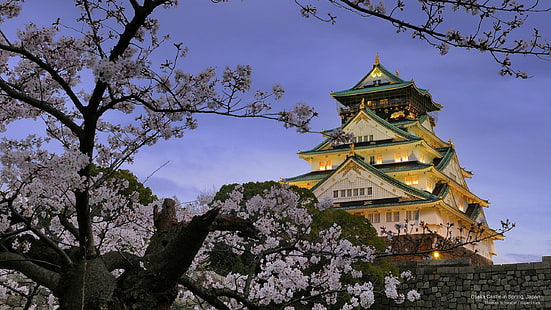 Castelo de Osaka na primavera, Japão, arquitetura, HD papel de parede HD wallpaper