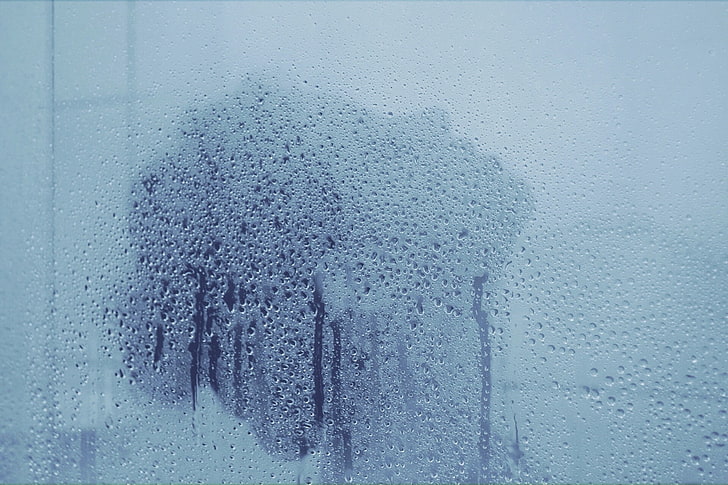 mulheres, chuveiro, água em vidro, HD papel de parede