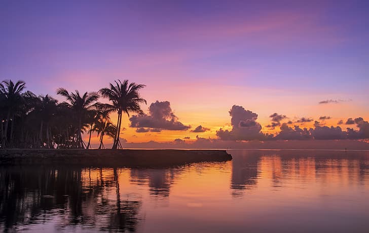 البحر ، أشجار النخيل ، المحيط ، الفجر ، الصباح ، فلوريدا، خلفية HD