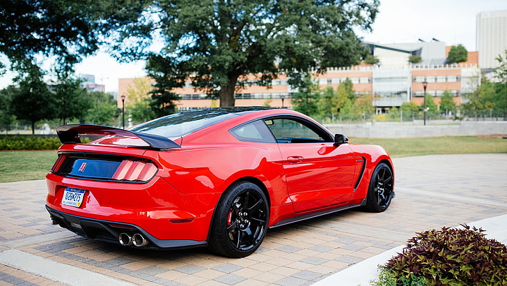 coche, Ford Mustang Shelby, Shelby GT350, Ford, Ford Mustang, Fondo de pantalla HD
