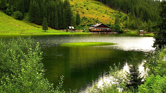 арболи, lago, naturaleza, verde, HD тапет HD wallpaper