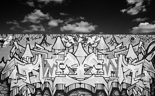 Graffiti in bianco e nero, bianco e nero, Florida, Graffiti, stati uniti, stati uniti d'america, Miami, Stati Uniti d'America, wynwood, Sfondo HD HD wallpaper