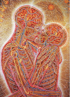 تشريح الإنسان ، علم التشريح ، الزوجان ، التقبيل ، العمل الفني، خلفية HD HD wallpaper