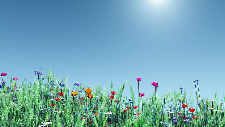 prairie, ciel, écosystème, fleurs sauvages, prairie, champ, prairie, fleur, herbe, ciel bleu, printemps, jour, printemps, plante, Fond d'écran HD