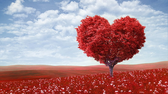 drzewo, 4k, obraz miłości, serce, Tapety HD HD wallpaper