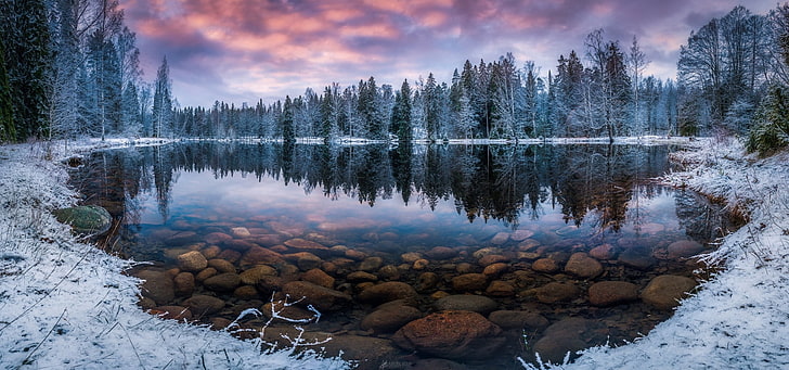 calm lake, nature, landscape, winter, lake, forest, snow, morning, trees, Finland, cold, water, reflection, HD wallpaper