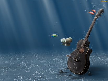 Gitar HD, gitar akustik cutaway abu-abu tunggal, musik, gitar, Wallpaper HD HD wallpaper