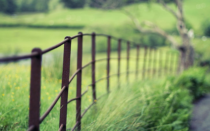 Brown metal fence, greens, macro, nature, Wallpaper, the fence, blur,  widescreen, HD wallpaper | Wallpaperbetter