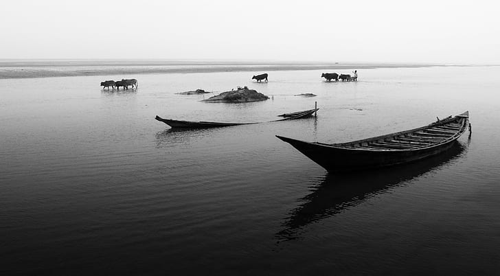 brown wooden boat on body of water in gray scale photo, Crossing Over, boat, body of water, gray scale, photo, canon  point, shoot, lifestyle, padma, bangladesh, kushtia, lens, cow, compact, cowherd, creative, water, black  white, white  people, scout, xplor, stats, explore, texture, shadow, light, lightroom, reza, dipu, life, nautical Vessel, sea, nature, sunset, HD wallpaper