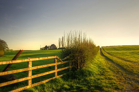 green grass field, greens, field, the sky, grass, landscape, nature, house, background, widescreen, Wallpaper, the fence, plants, fence, gate, meadow, full screen, HD wallpapers, fullscreen, HD wallpaper HD wallpaper