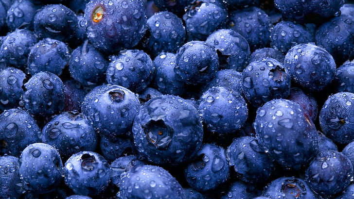 Buah blueberry, Buah, Blueberry, Wallpaper HD
