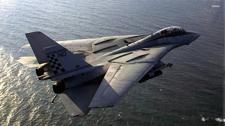 Caças a jato, Grumman F-14 Tomcat, HD papel de parede