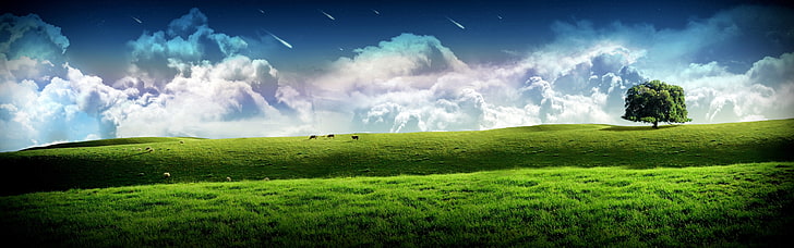 field of green grass wallpaper, art, clouds, digital, dream, dual, grass, hill, manip, monitor, multi, screen, sky, stars, trees, HD wallpaper