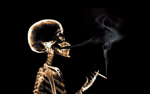 курящий скелет иллюстрация, дым, сигарета, рентген, скелет, HD обои HD wallpaper