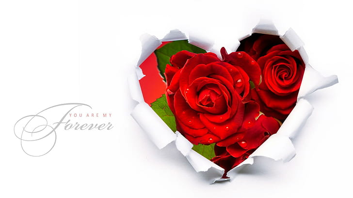 Forever February, red roses, roses, heart, abstract, valentines day, february, paper, flowers, fleurs, simple, nature and lands, HD wallpaper