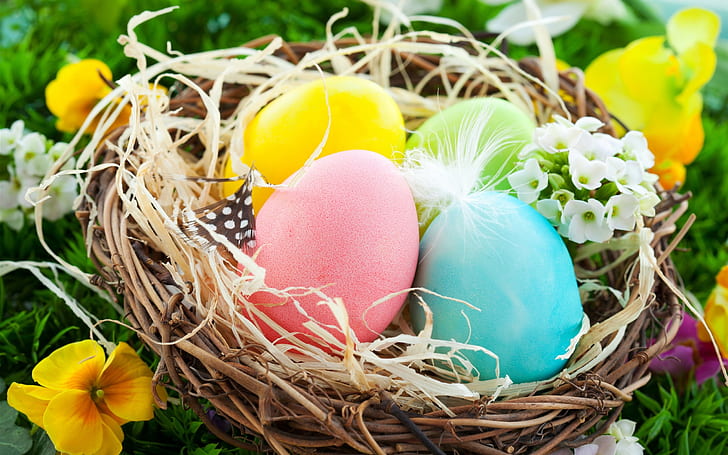 Jajka wielkanocne, kolorowe, gniazdo, kwiaty, wiosna, Wielkanoc, Jajka, kolorowe, Gniazdo, Kwiaty, Wiosna, Tapety HD