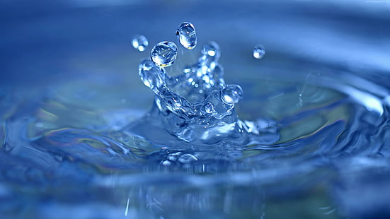drops, water, blue, droplets, splash, wave, liquid, waterdrop, drop, plash, HD wallpaper HD wallpaper