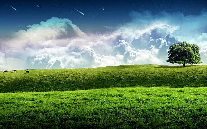 Erde, Traumwelt, Wolke, Feld, Gras, Landschaft, Einsamer Baum, Baum, HD-Hintergrundbild