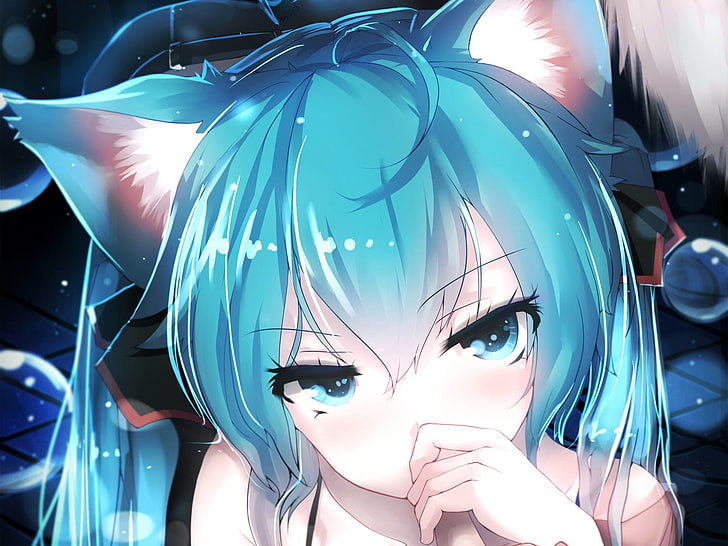 blue haired woman with cat ear illustration, Anime, Vocaloid, Animal Ears, Blue Eyes, Blue Hair, Blush, Girl, Hatsune Miku, Nekomimi, Twintails, HD wallpaper