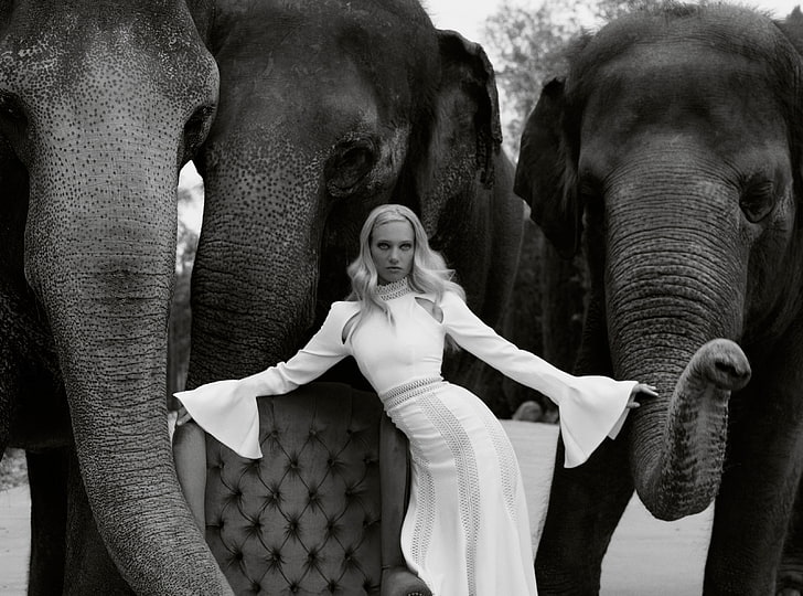Model, Fashion, Elephants, Black and White, Girl, Beautiful, People, Wild, Woman, Designer, Young, Amazing, Elephants, Animals, Model, Fashion, Collection, Wonderful, Elegant, fantastic, Lovely, Outfit, Fabulous, Clothing, glamorous, blackandwhite, clothes, extraordinary, formal, loveanimals, HD wallpaper