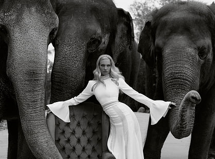 Model, Fashion, Elephants, Black and White, Girl, Beautiful, People, Wild, Woman, Designer, Young, Amazing, Elephants, Animals, Model, Fashion, Collection, Wonderful, Elegant, fantastic, Lovely, Outfit, Fabulous, Clothing, glamorous, blackandwhite, clothes, extraordinary, formal, loveanimals, HD wallpaper HD wallpaper