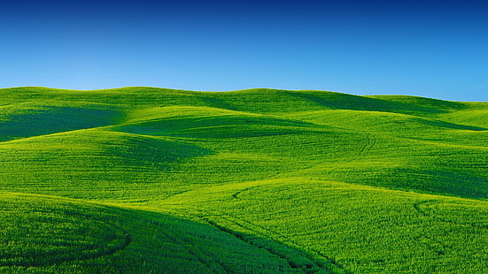 なだらかな丘、草原、緑の丘、野原、草原、空、丘、植生、平野、高地、青い空、草、作物、牧草地、田園地帯、新鮮、 HDデスクトップの壁紙 HD wallpaper