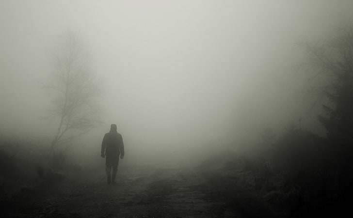 Silhouette, Nebel, Einsamkeit, allein, HD-Hintergrundbild