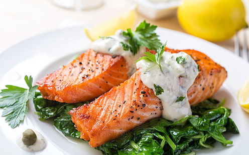 food, lunch, closeup, salmon, fish, salad, HD wallpaper HD wallpaper