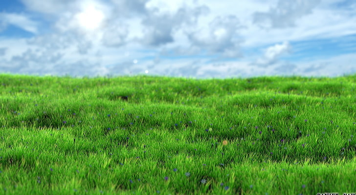 Realistic Grass, green grass, Artistic, 3D, grass, HD wallpaper