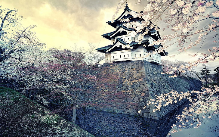 templo branco, cidade, sakura, japão, primavera, HD papel de parede
