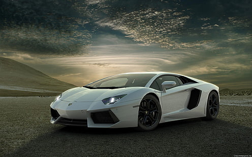 białe Lamborghini Aventador coupe, samochód, samochód sportowy, Lamborghini, Lamborghini Aventador, białe samochody, pojazd, Tapety HD HD wallpaper