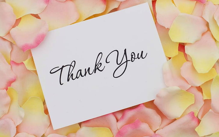 Thank You, words, petals, message, card, HD wallpaper