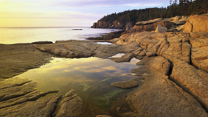 Atlantic Coast At Thunder Hole Acadia Np, forest, rocks, ocean, coast, nature and landscapes, HD wallpaper