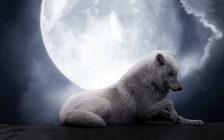 The Wolf Moon, arctic, resting, planet, fantastic, fantasy, wolves, 3d and abstract, HD wallpaper