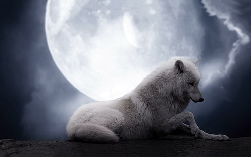 The Wolf Moon, arctic, resting, planet, fantastic, fantasy, wolves, 3d and abstract, HD wallpaper HD wallpaper