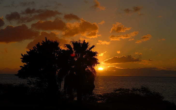 Amazing Sunset Image, palmeras, tropical, océano, cielos, amanecer, hermoso, atardecer, nubes, 3d y abstracto, Fondo de pantalla HD