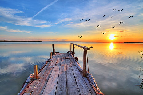 brown wooden dock, sunset, lake, seagulls, landscape, nature, pier, HD wallpaper HD wallpaper