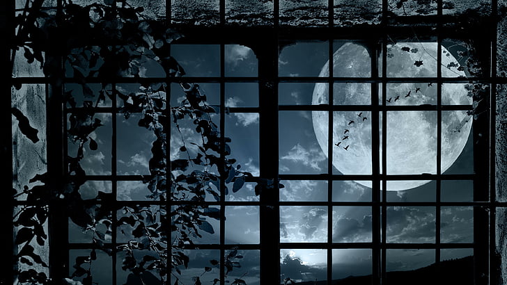 луна, полнолуние, окно, ночь, HD обои