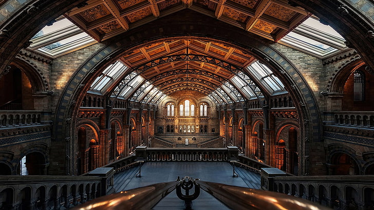 Музей естествознания (Лондон), HD обои