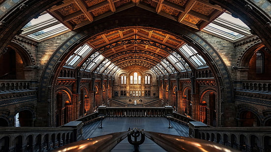 Музей естествознания (Лондон), HD обои HD wallpaper