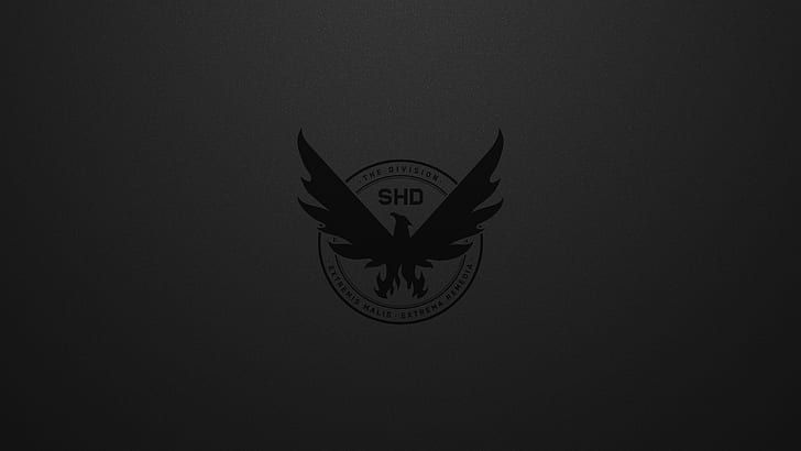 Videogame, A Divisão 2 de Tom Clancy, HD papel de parede