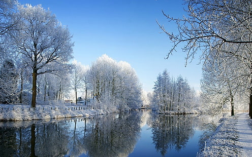 Obraz zimowej scenerii 213214, Tapety HD HD wallpaper