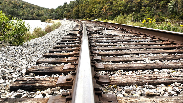 brown train rails, forest, macro, trees, nature, stones, rails, railroad, railway, 1920x1080, HD wallpaper