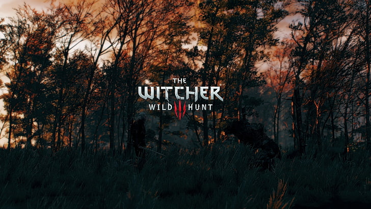 La copertina del gioco The Witcher Wild Hunt, The Witcher 3: Wild Hunt, Sfondo HD
