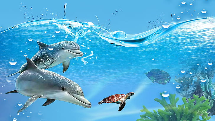 Jeu sous-marin, natation, bulles, tortue, dauphins, plantes, eau, océan, bleu, poisson, animaux, Fond d'écran HD