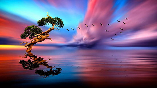 Lonely Tree Sunset Lake Birds In Flight Horizon Art Images Hd Wallpapers And Background Computer Smartphone And Tablet 1920×1080, HD wallpaper HD wallpaper