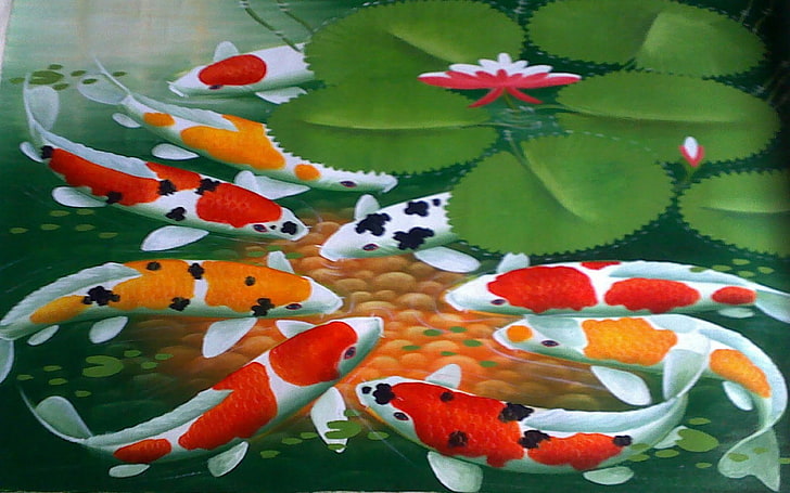 Koi Fishes Background For Computer, HD wallpaper