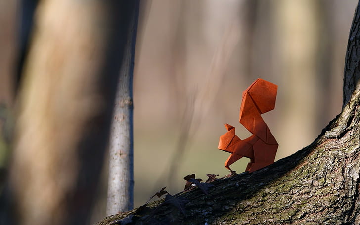 origami, scoiattolo, carta, Sfondo HD